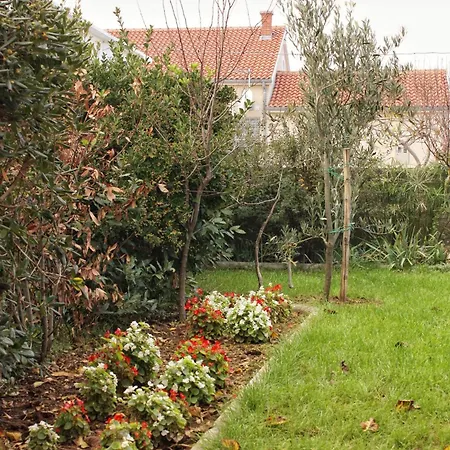 Seaside With A Swimming Pool Nin, Zadar - 5930 Appartement *